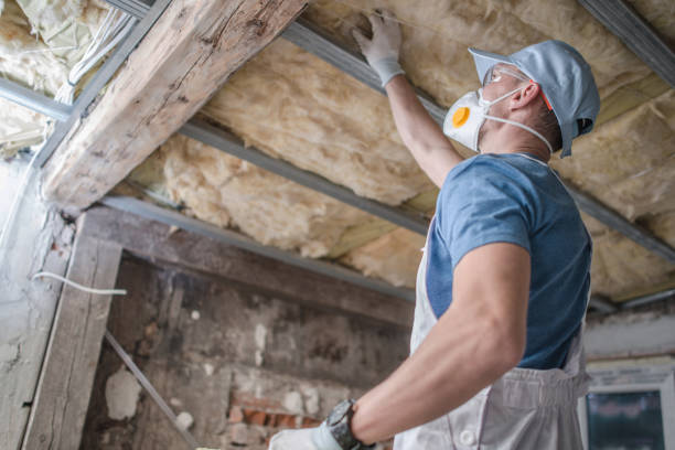 Best Insulation Contractor Near Me  in Rutledge, TN